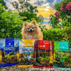 Addiction Beef Meaty Bites soft treats, gentle enough for senior dogs to chew