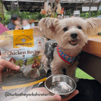 Addiction Chicken Meaty Bites soft treats, gentle enough for senior dogs to chew