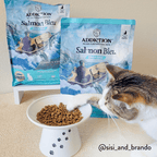 Addiction Salmon Bleu dry cat food for all life stages, from kittens to senior cats