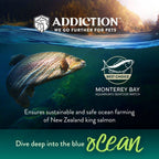 Addiction Salmon Bleu cat food with cranberries, blueberries, kelp and spinach powder