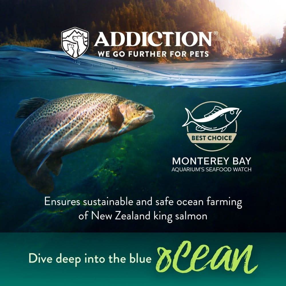 Addiction Salmon Bleu cat food with cranberries, blueberries, kelp and spinach powder
