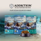 Addiction Salmon Bleu dry cat food with flaxseed, brewers dried yeast and potato protein