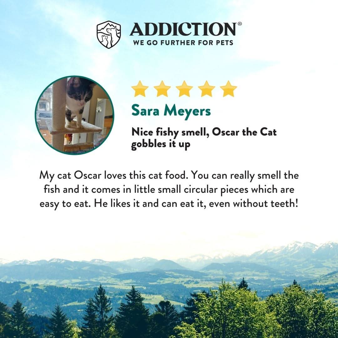 Addiction Salmon Bleu for cats, with salmon rated Best Choice by Seafood Watch, per Addiction