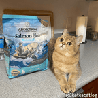 Addiction Salmon Bleu kibble with taurine at 0.1% minimum and omega-3 at 1% minimum