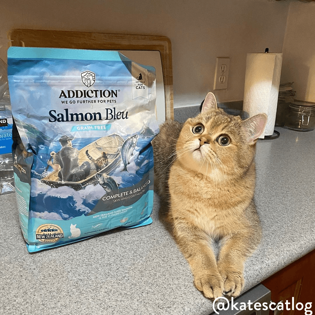 Addiction Salmon Bleu kibble with taurine at 0.1% minimum and omega-3 at 1% minimum