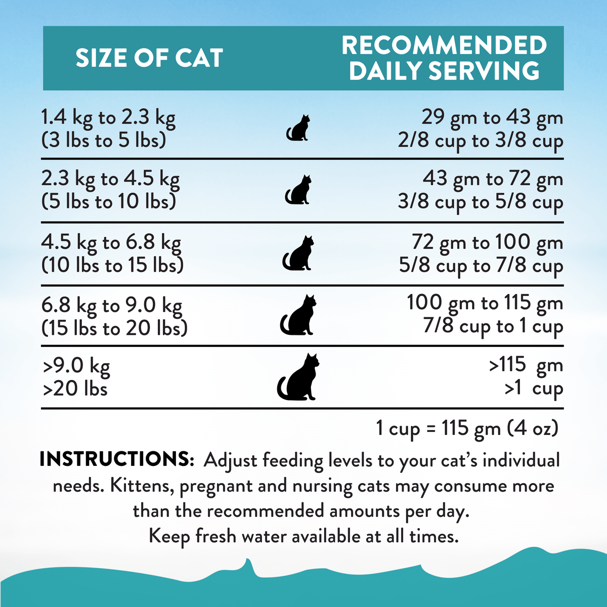 Addiction Salmon Bleu 12 x 60 g trial pack, a grain-free and gluten-free dry cat food