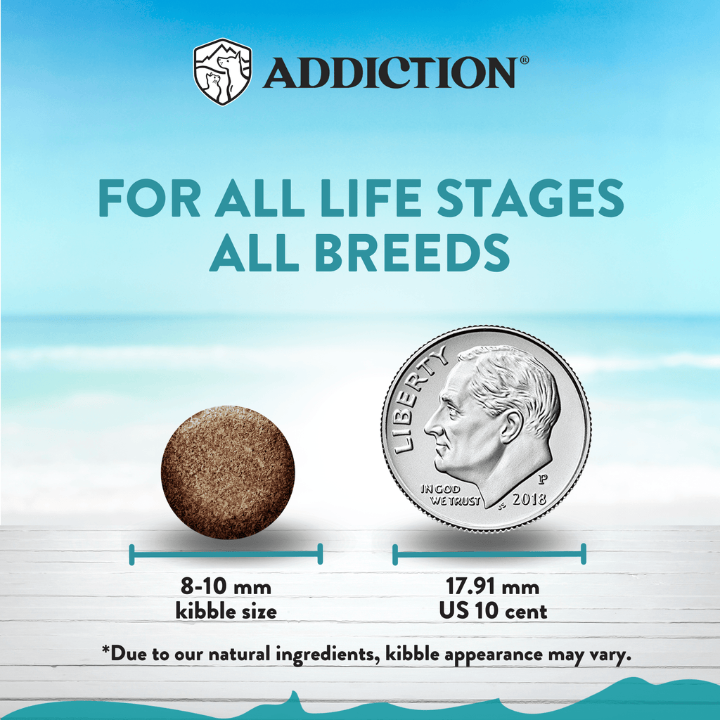 Addiction Salmon Bleu trial pack with 60 g packs of grain-free King Salmon kibble for cats