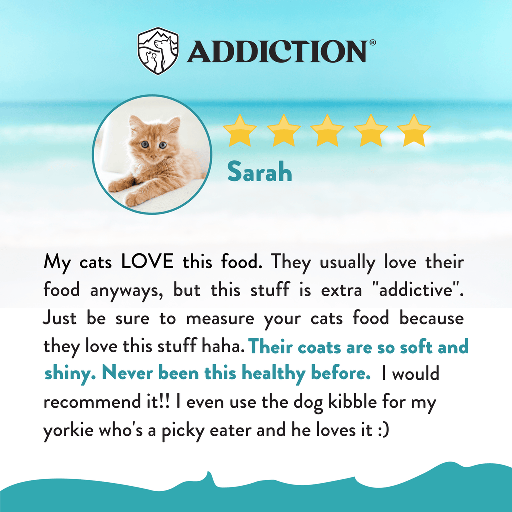 Addiction Salmon Bleu trial pack with omega-3 and omega-6 to help support skin and coat