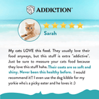 Addiction Salmon Bleu trial pack with omega-3 and omega-6 to help support skin and coat