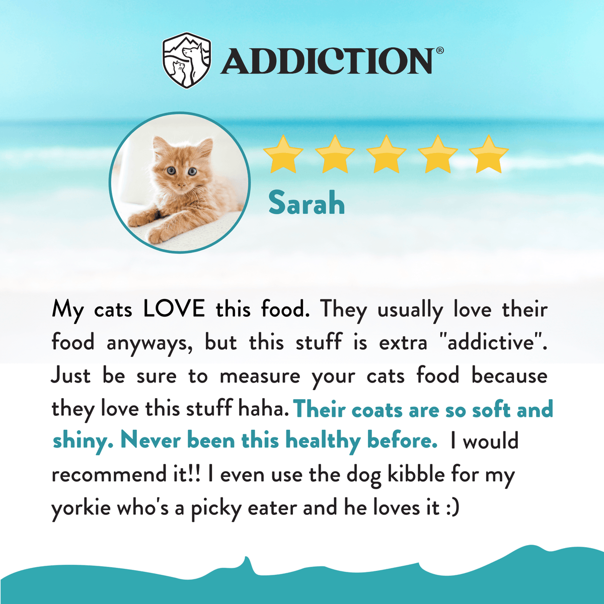 Addiction Salmon Bleu trial pack with omega-3 and omega-6 to help support skin and coat
