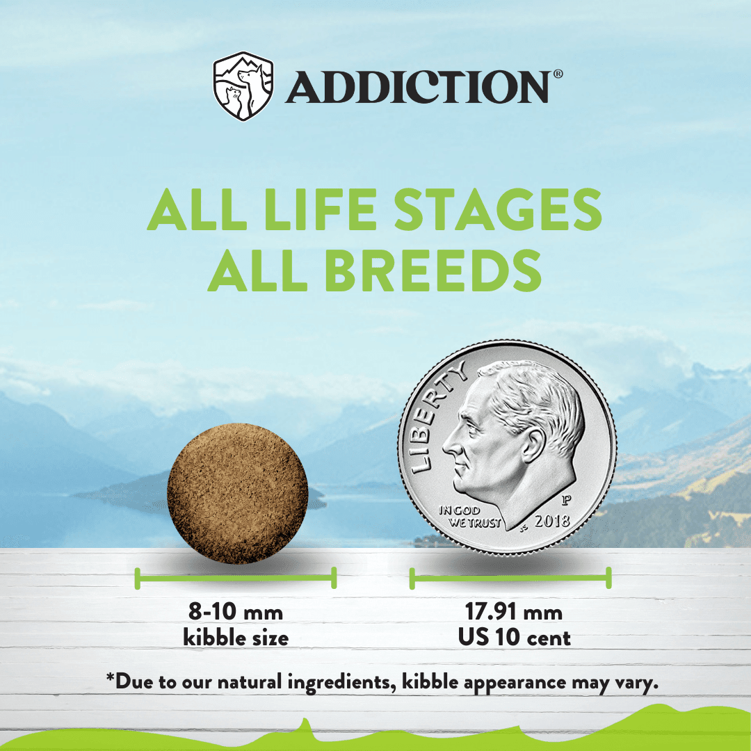 Grain-free and gluten-free Addiction Viva La Venison kibble made without corn, wheat or soy
