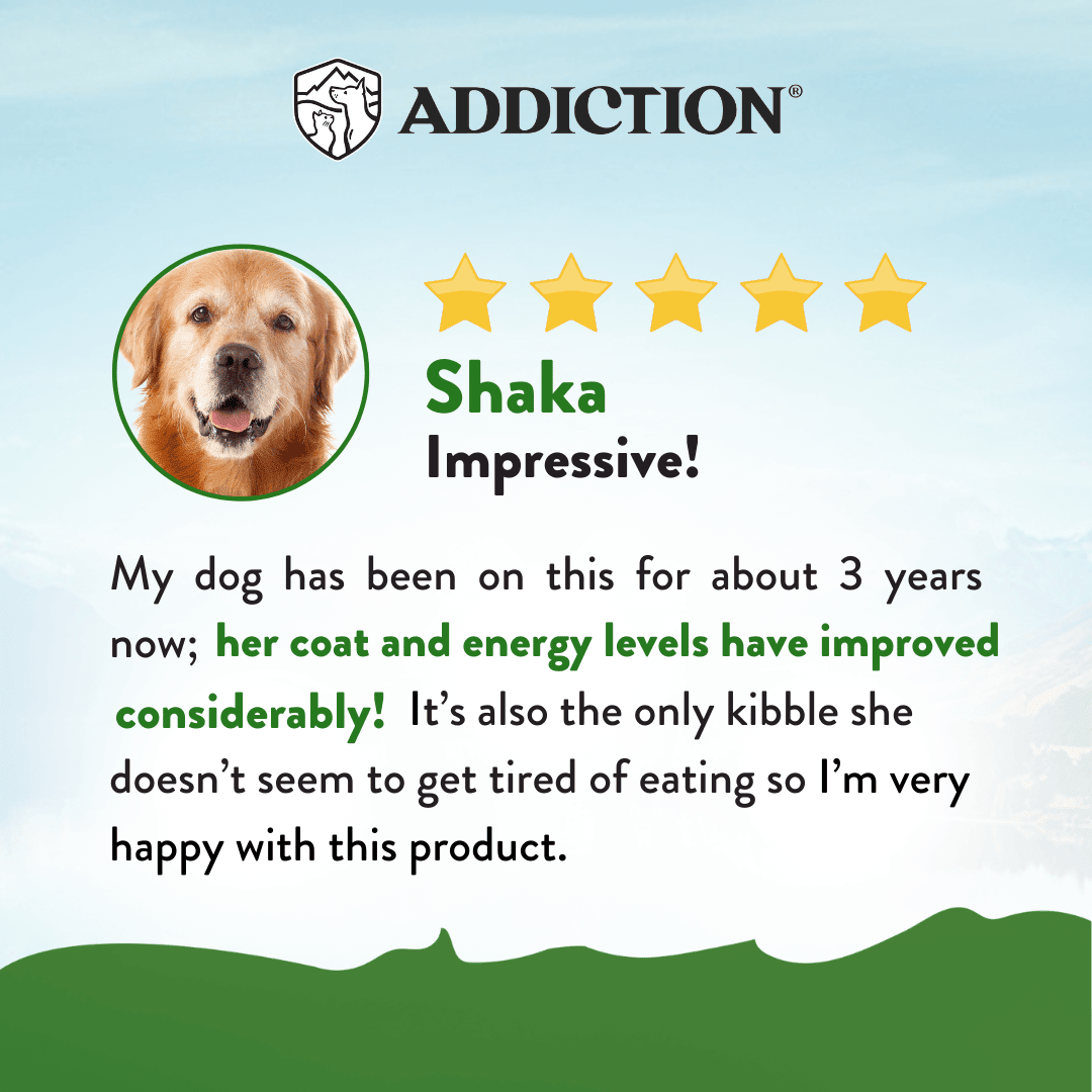 Addiction Zen Vegetarian dog food with coconut oil and flaxseed to help support skin and coat