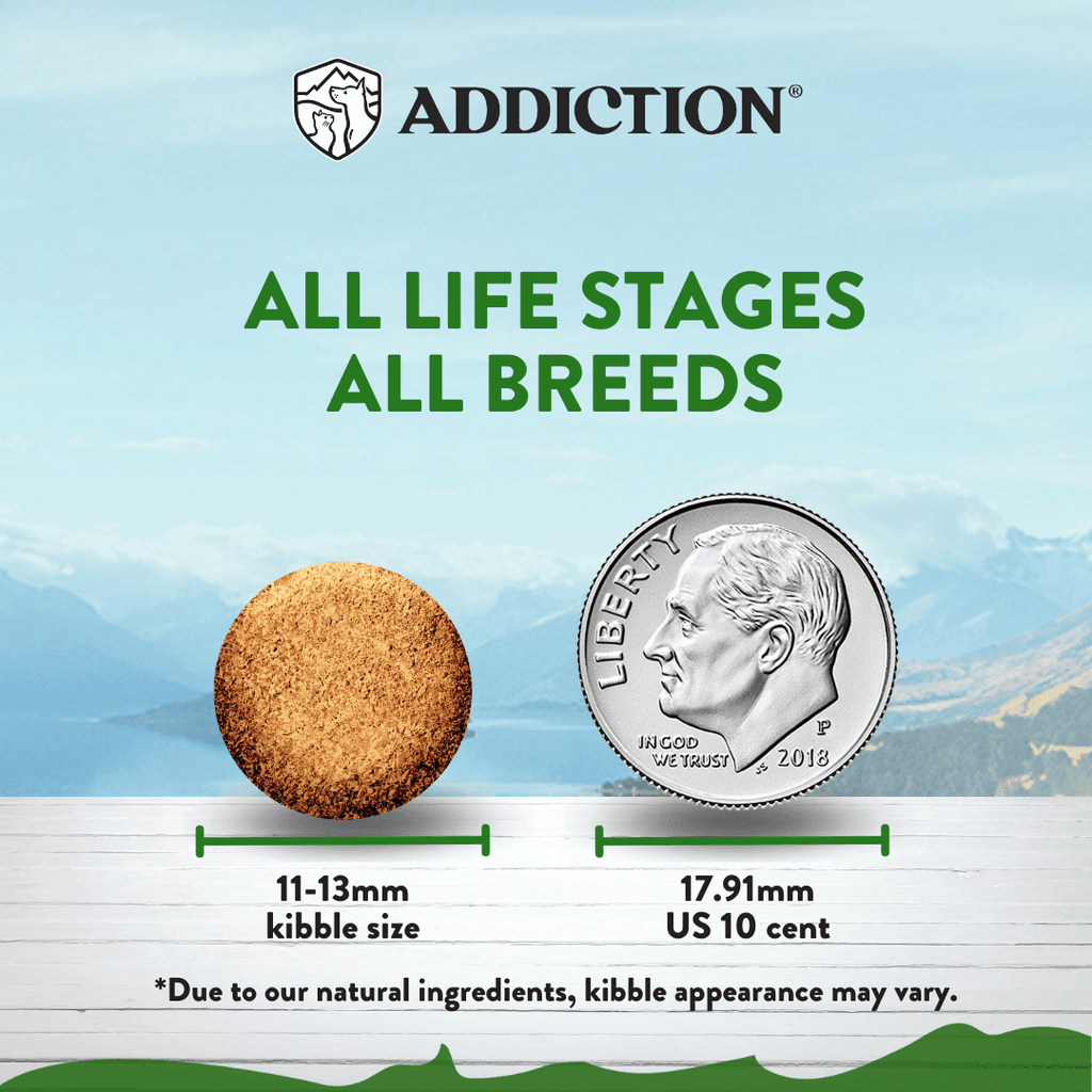 Addiction Zen Vegetarian, a vegetarian kibble formulated by a holistic vet and clinical nutritionist