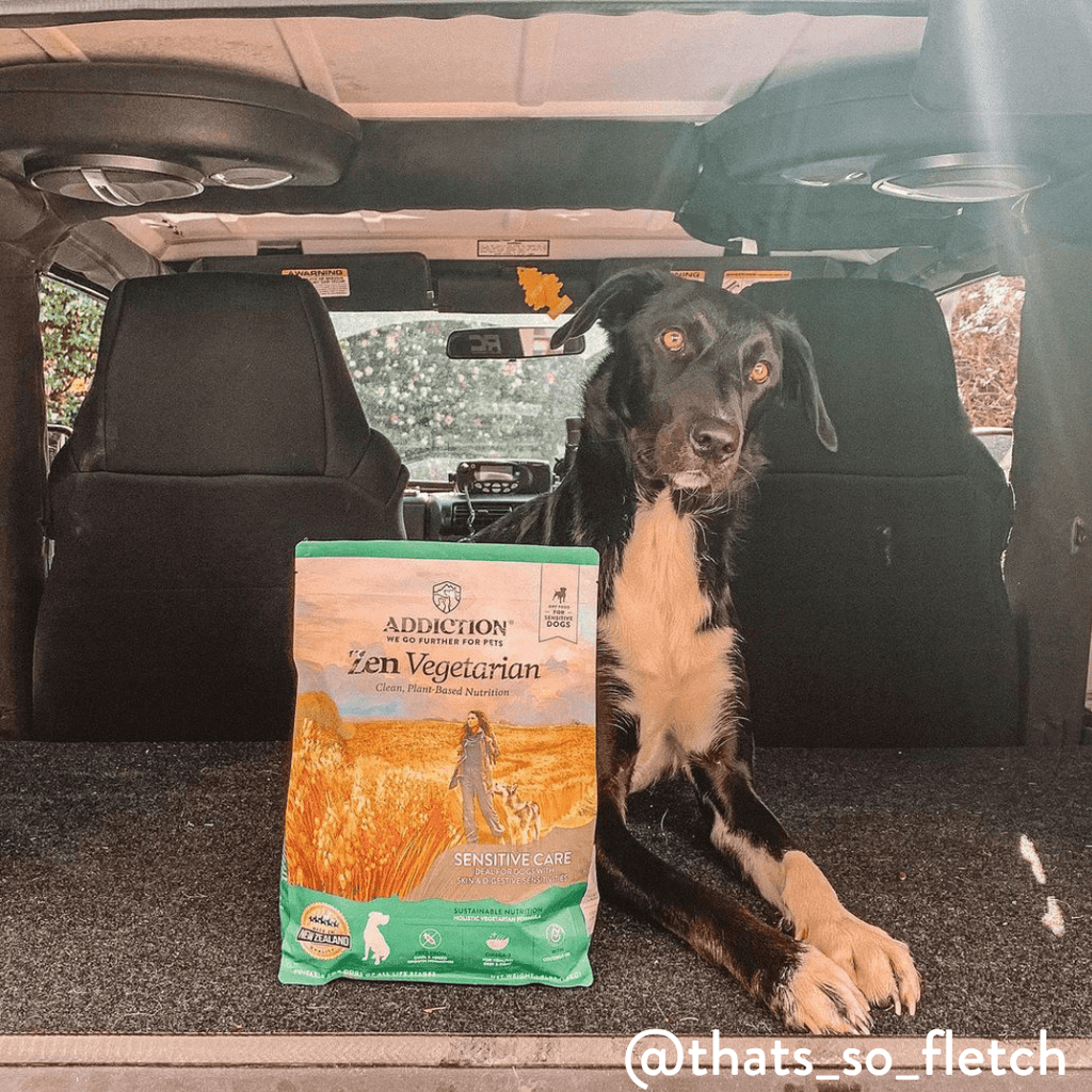 Addiction Zen Vegetarian, a meat-free dry food with no artificial flavors or preservatives