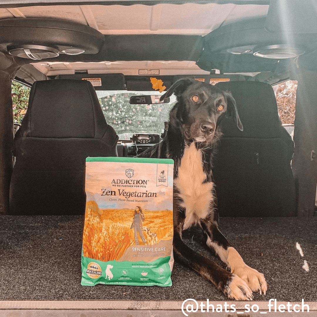 Addiction Zen Vegetarian, a meat-free dry food with no artificial flavors or preservatives