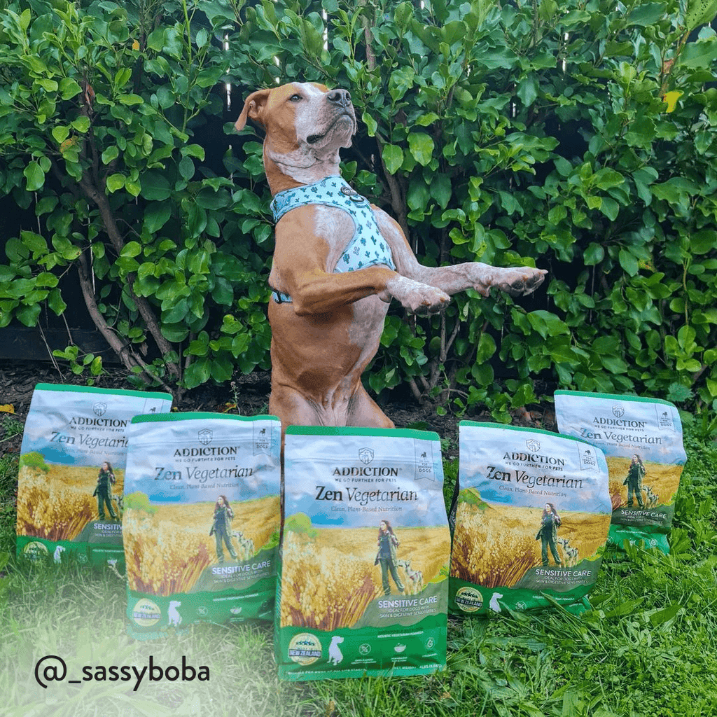 Potato-free Addiction Zen Vegetarian dog food with dried kelp and added taurine