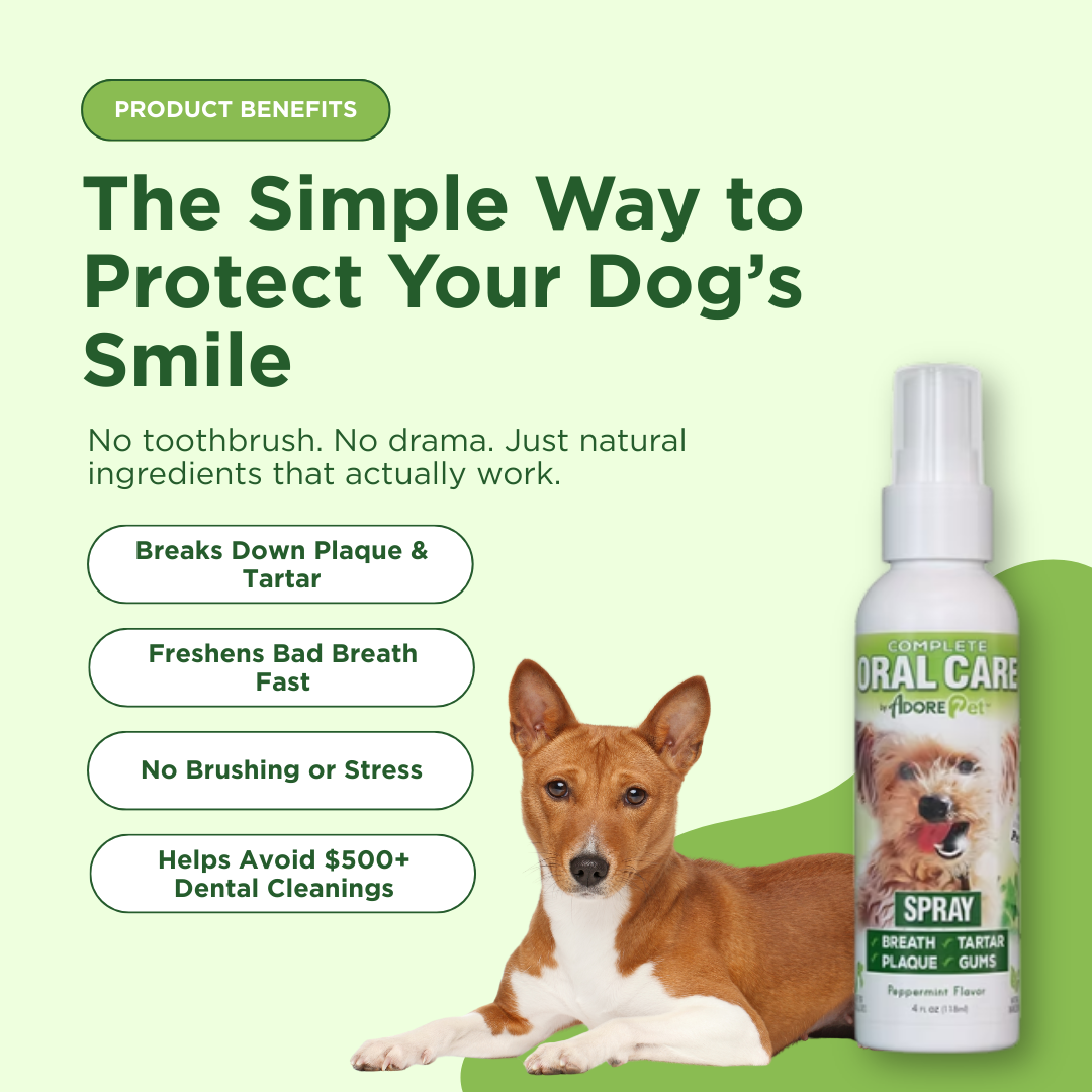 Adore Pet dog dental spray applied straight onto the gum line, no toothbrush required