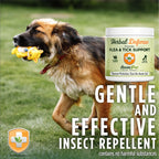 Adore Pet Herbal Defense Powder, served twice daily for 5 days as the label directs