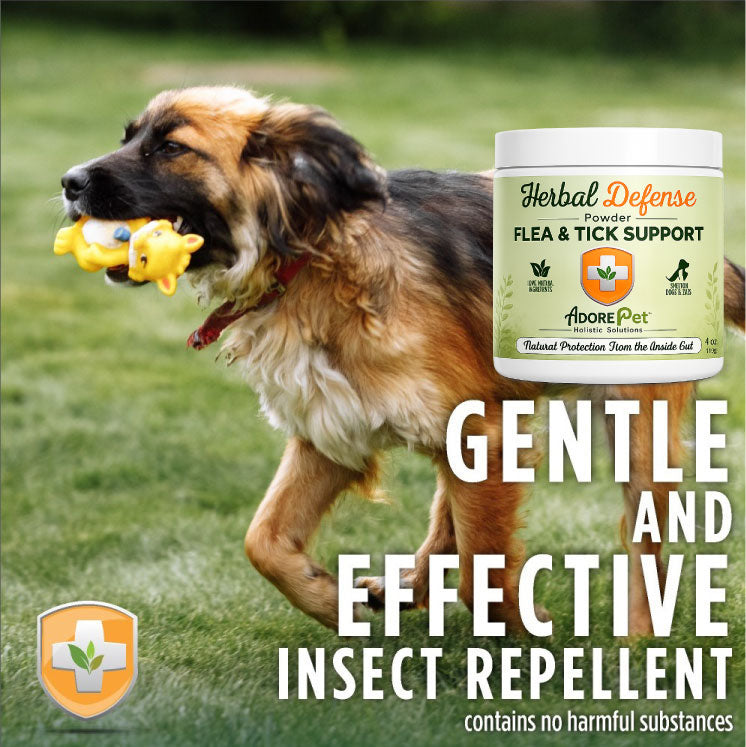 Adore Pet Herbal Defense Powder, served twice daily for 5 days as the label directs