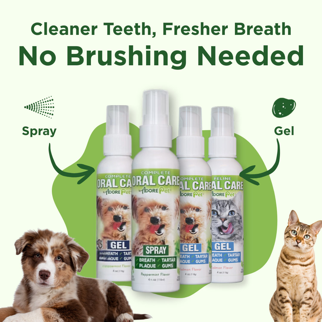 Adore Pet Oral Care Spray, a 10-second no-brush routine for dogs of all breeds