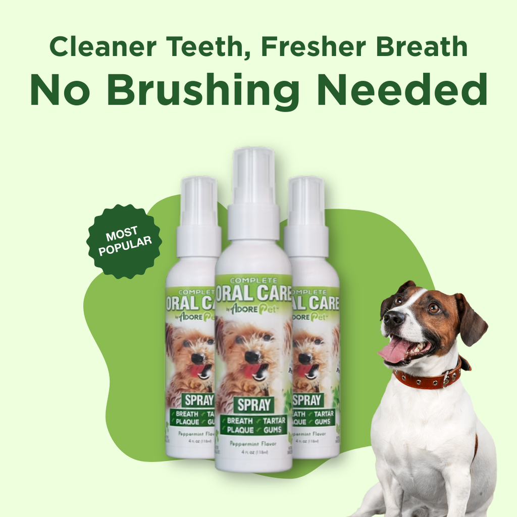 Adore Pet Oral Care Spray with thyme and peppermint oils for a dog's oral care routine
