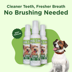 Adore Pet Oral Care Spray with thyme and peppermint oils for a dog's oral care routine