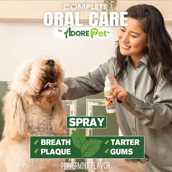 Adore Pet Oral Care Spray for dogs, used twice daily while plaque buildup is visible