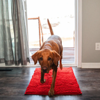 Non-slip absorbent pet door mat, available in several sizes and colors