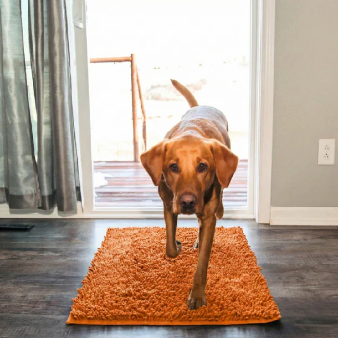 Anti-mud dog door mat that traps dirt and water at the entryway