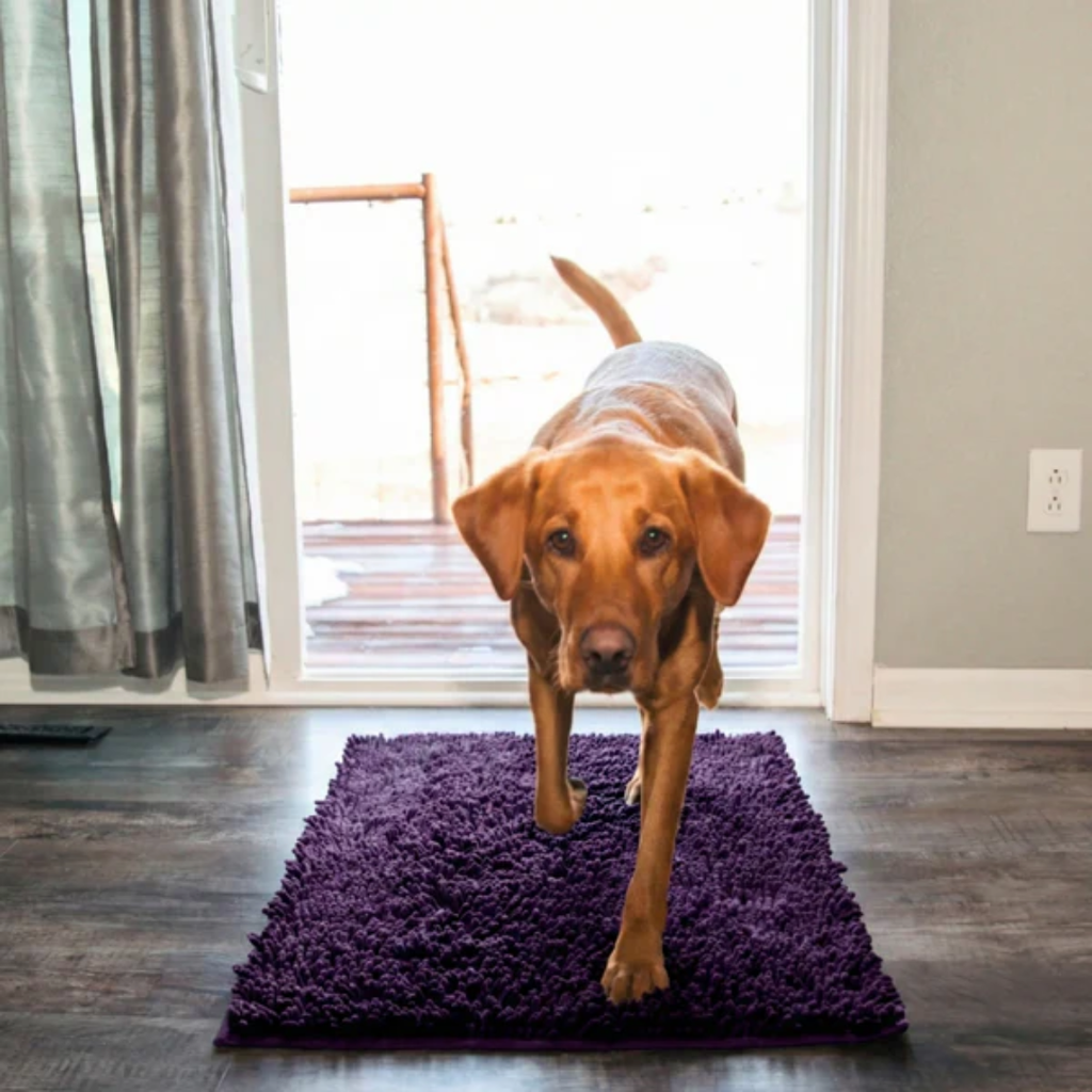 Anti-mud dog door mat that traps dirt and water at the entryway
