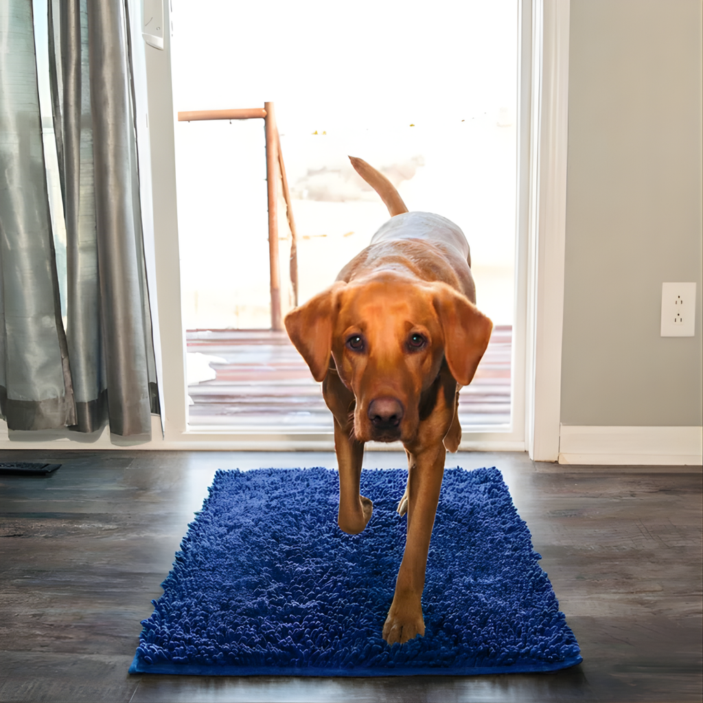 Absorbent muddy-paw dog mat with a non-slip backing