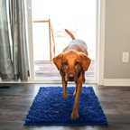 Absorbent muddy-paw dog mat with a non-slip backing