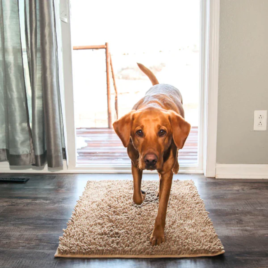 Quick-drying dog door mat for muddy paws