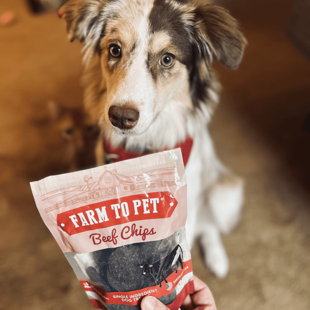 Farm to Pet Beef Chips as training treats for dogs, one of four flavors in the Puppy Pack