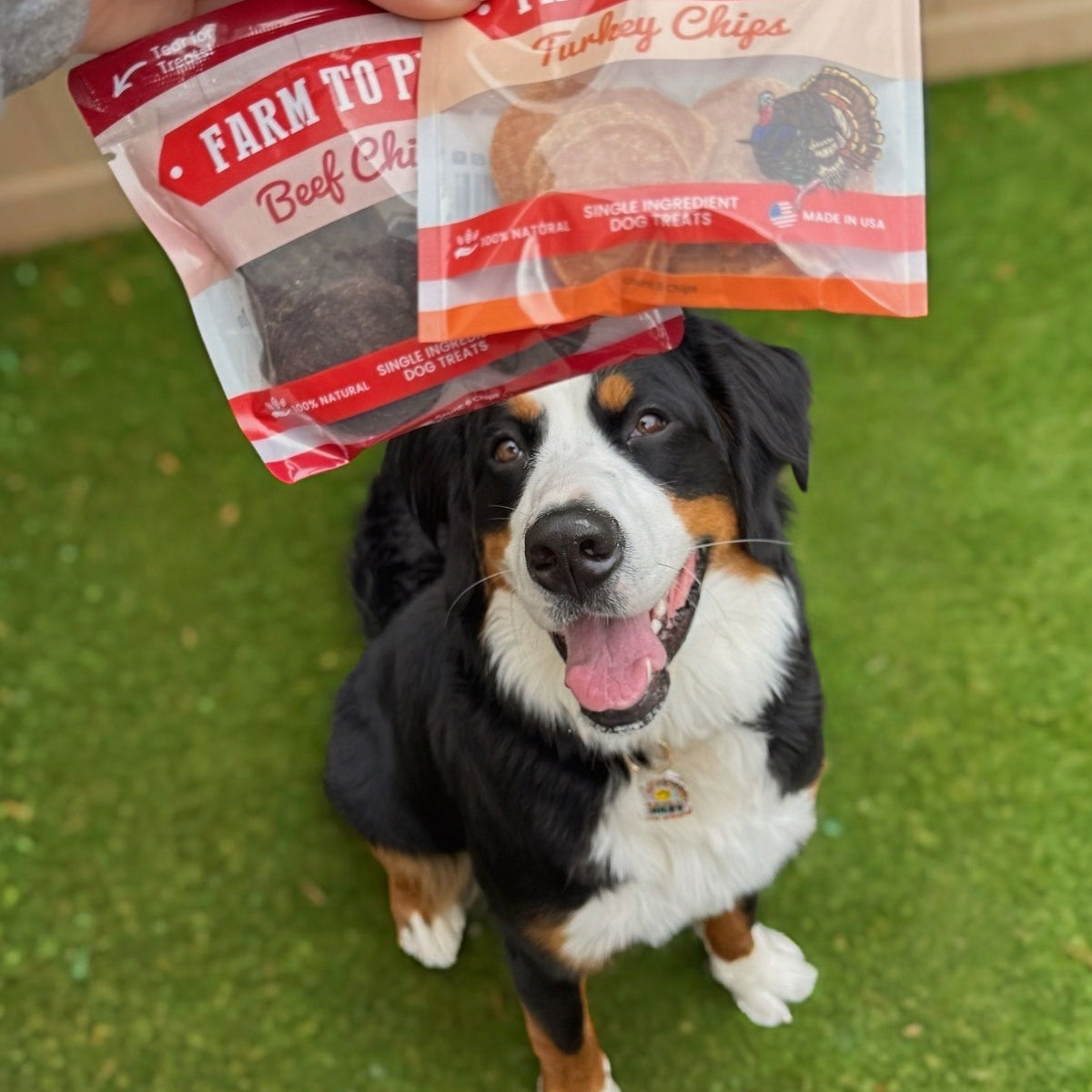 Beef and turkey snack packs of Farm to Pet chips, training treats for puppies in the starter pack
