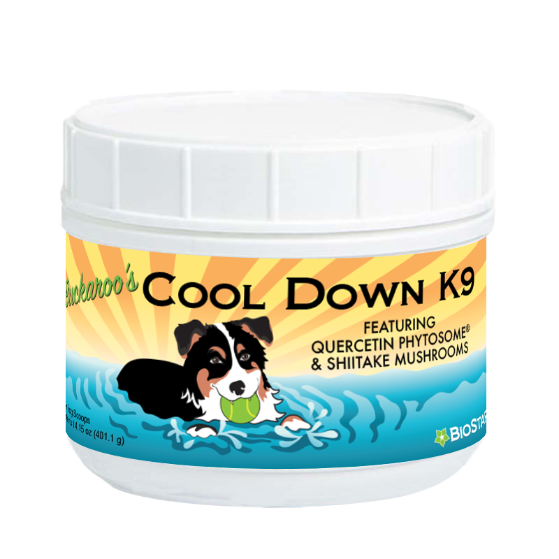 BioStar Buckaroo's Cool Down K9 jar with 30 large-dog scoops, scoop included