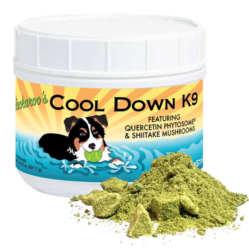 BioStar Buckaroo's Cool Down K9 jar shown with a sample of the whole-food blend