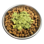 BioStar Cool Down K9 summer supplement for dogs, served wet in a full bowl