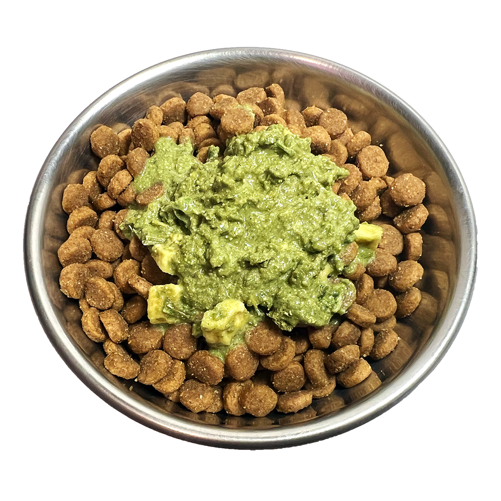 BioStar Cool Down K9 summer supplement for dogs, served wet in a full bowl