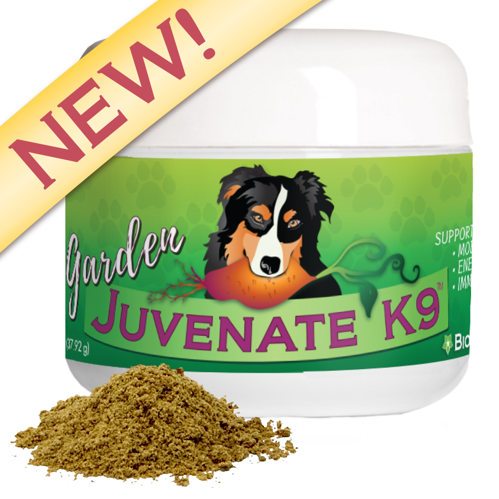 BioStar Garden Juvenate K9 plant-based supplement for dogs, 60 scoops, 1.34 oz