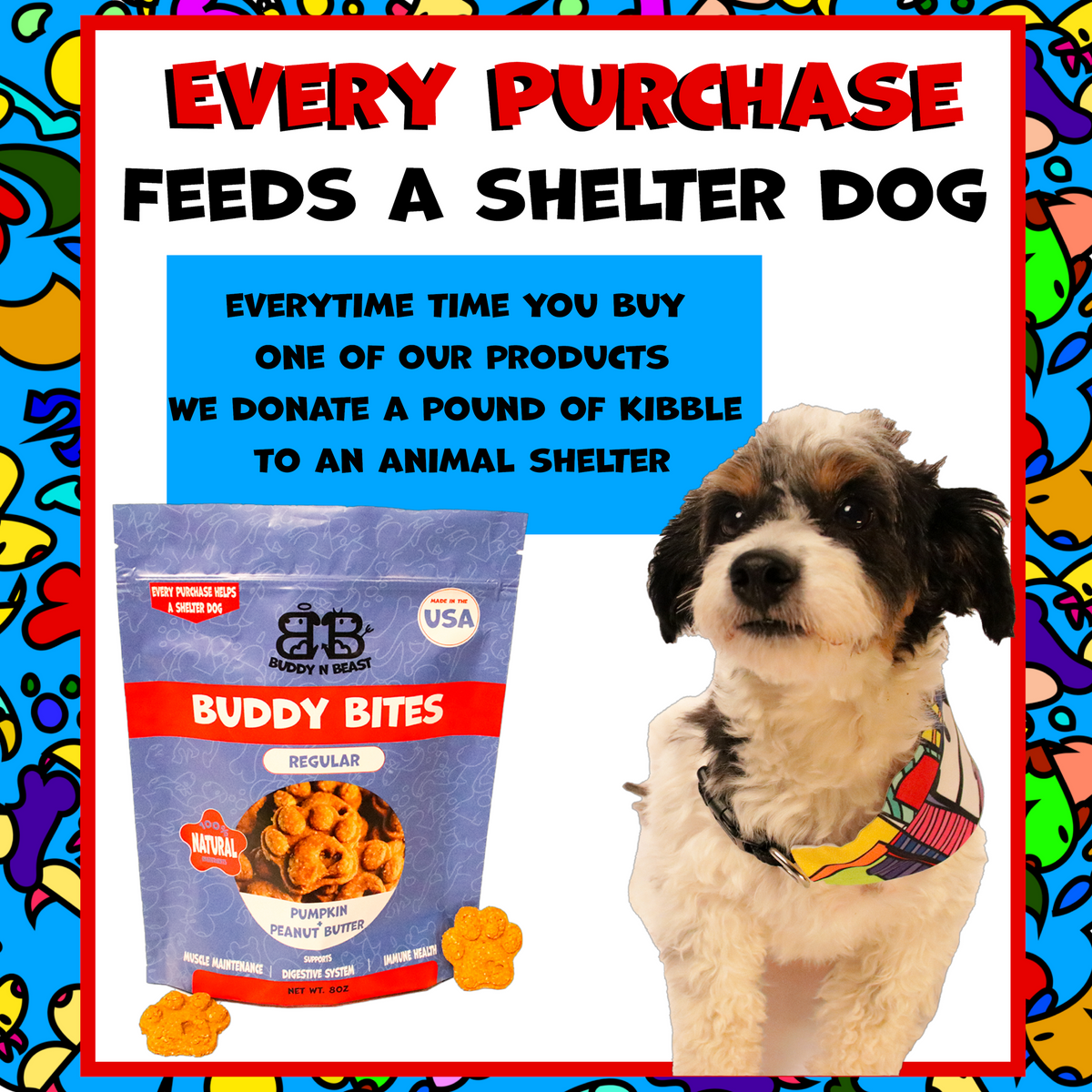 Buddy N Beast dog treats with fiber-rich pumpkin; each purchase helps feed a shelter dog