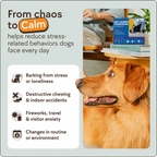 Dog Calming Diffuser Kit