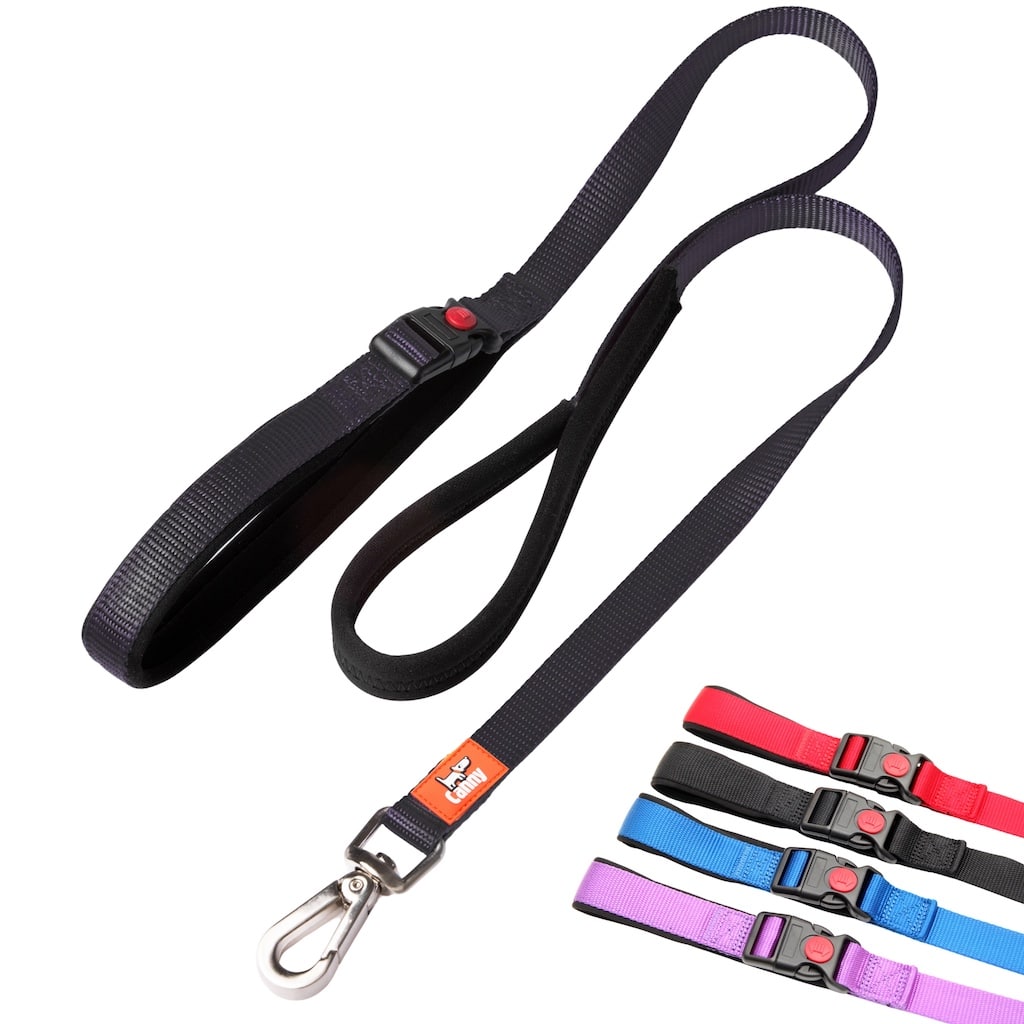 Black Canny Connect leash for puppies and small dogs, 5/8 inch wide with a steel clip