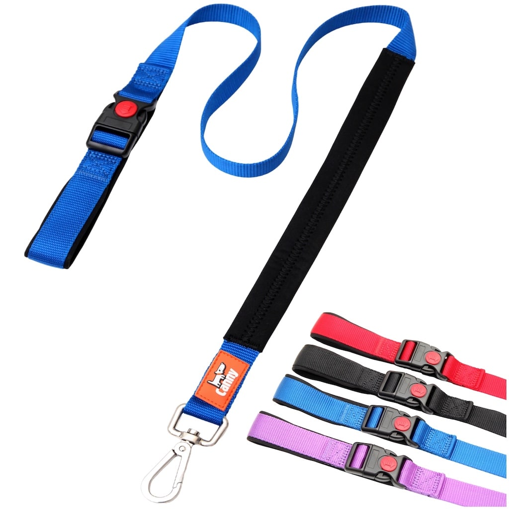 Blue Canny Connect leash for medium and large dogs with a brushed steel clip, 4 ft long