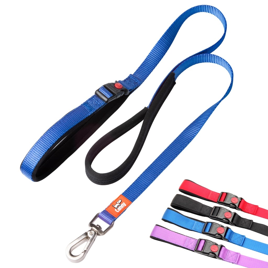 Blue Canny Connect 5/8 inch leash for puppies and small dogs with a brushed steel clip