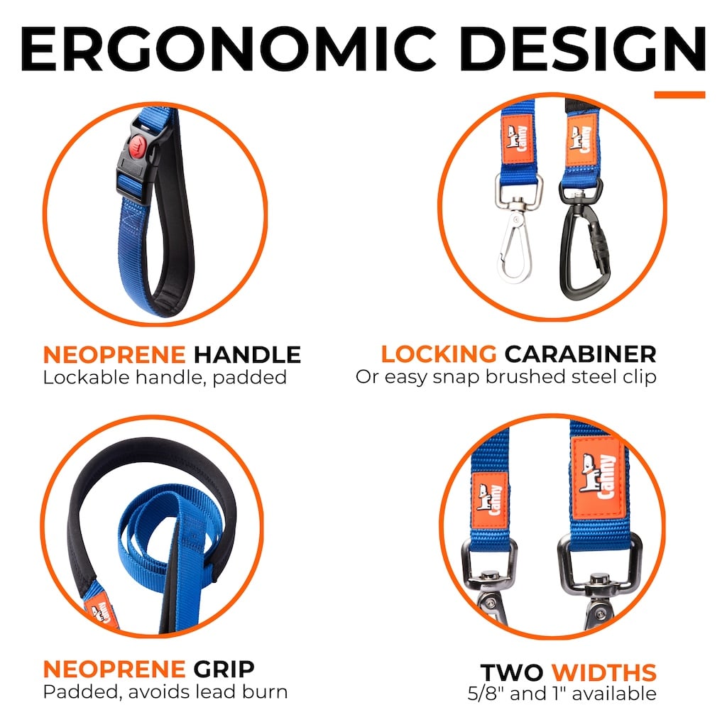 Features of the Canny Connect anti-escape leash, from the lockable handle to the padded grip