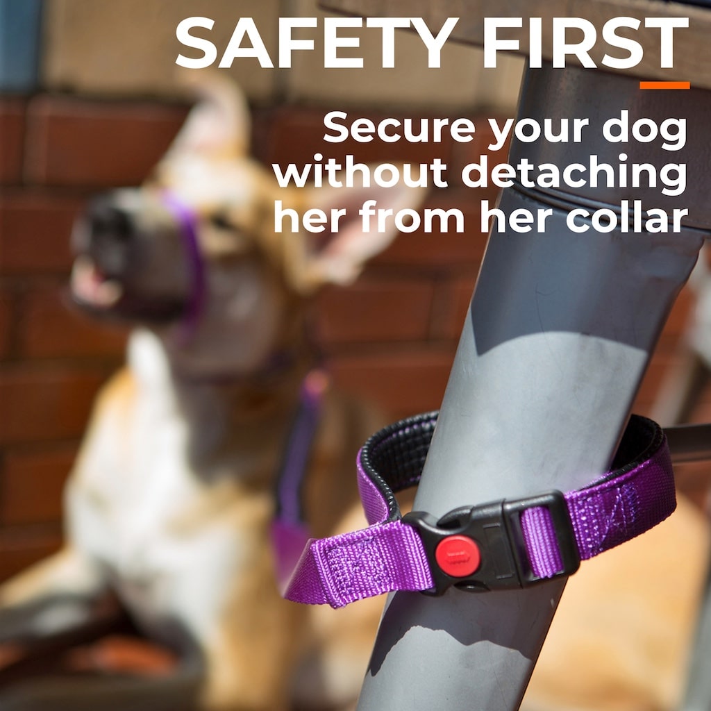 Canny Connect anti-escape dog leash with its lockable handle secured around a table