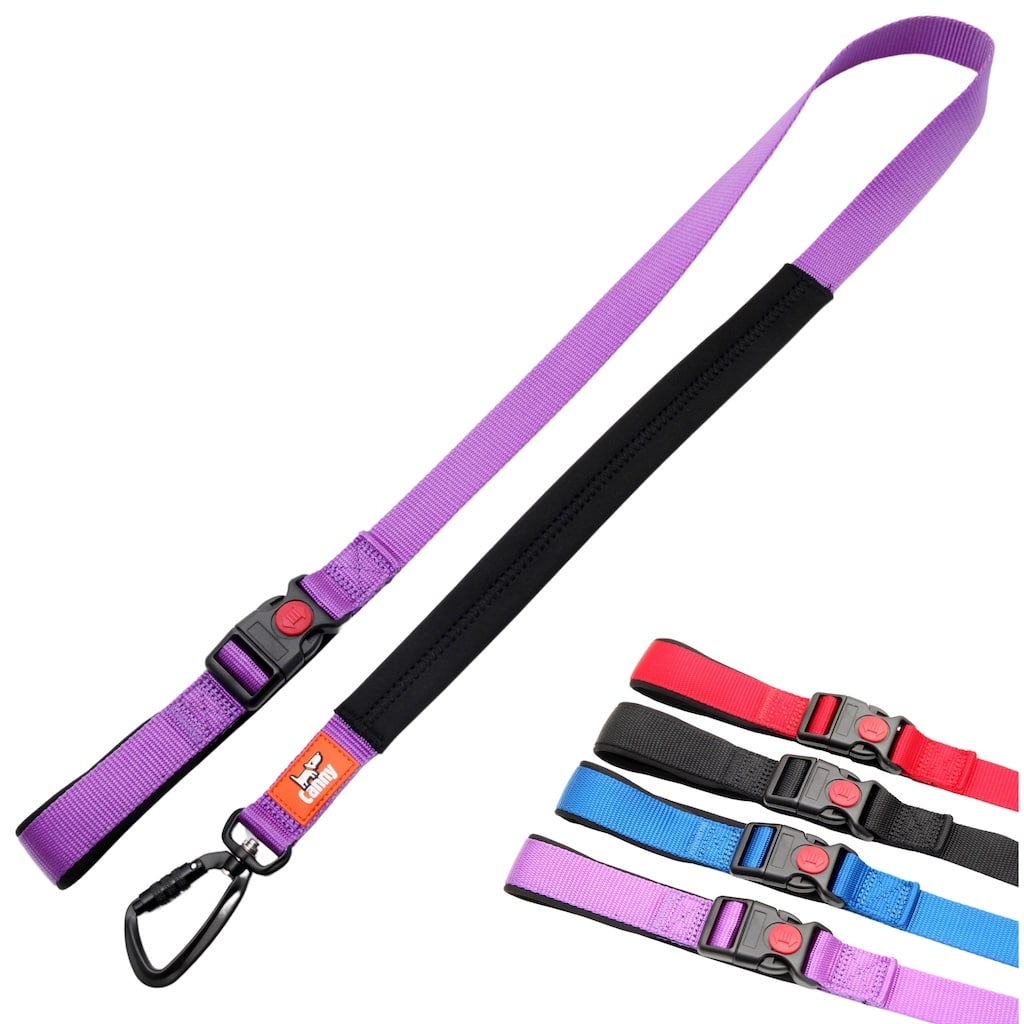 Purple Canny Connect anti-escape leash, 1 inch wide, fitted with a self-locking carabiner