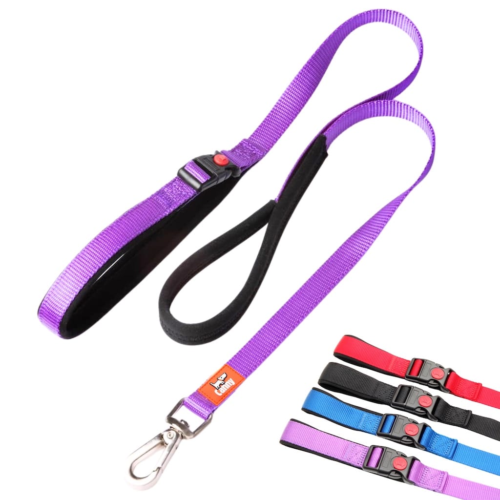 Purple Canny Connect 5/8 inch anti-escape leash for small dogs and puppies