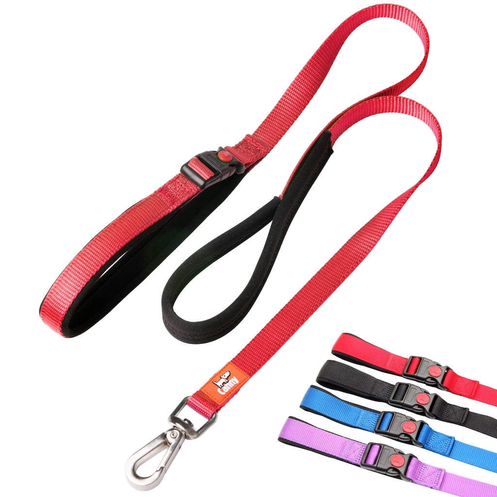 Red Canny Connect puppy and small dog leash, 5/8 inch wide and 4 ft long, steel clip